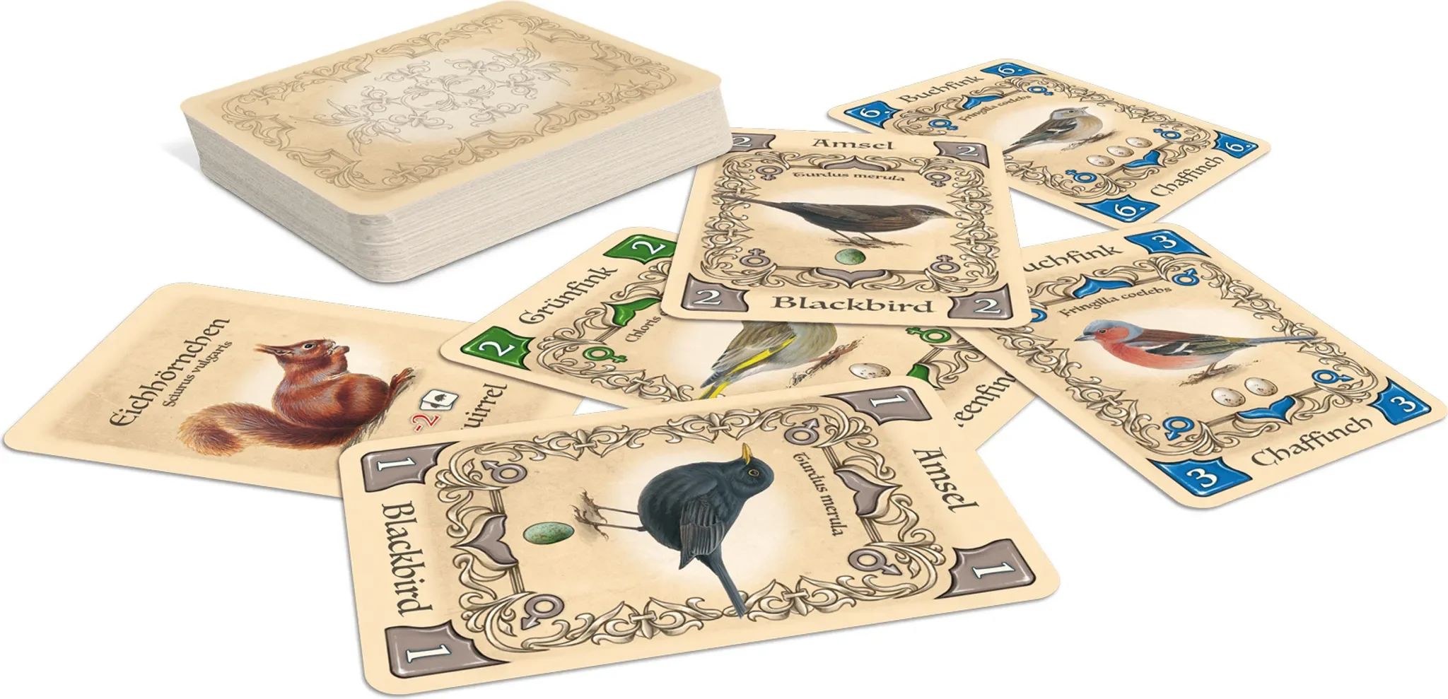 ASS-Altenburger – Kartenspiel „Piepmatz“